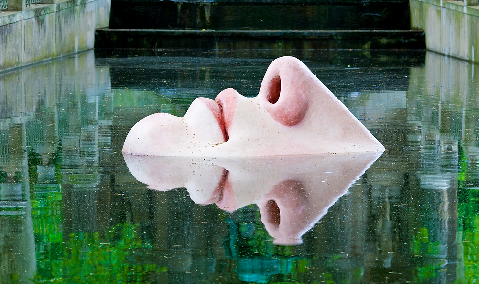 Human Contact  - Katlyn Cross